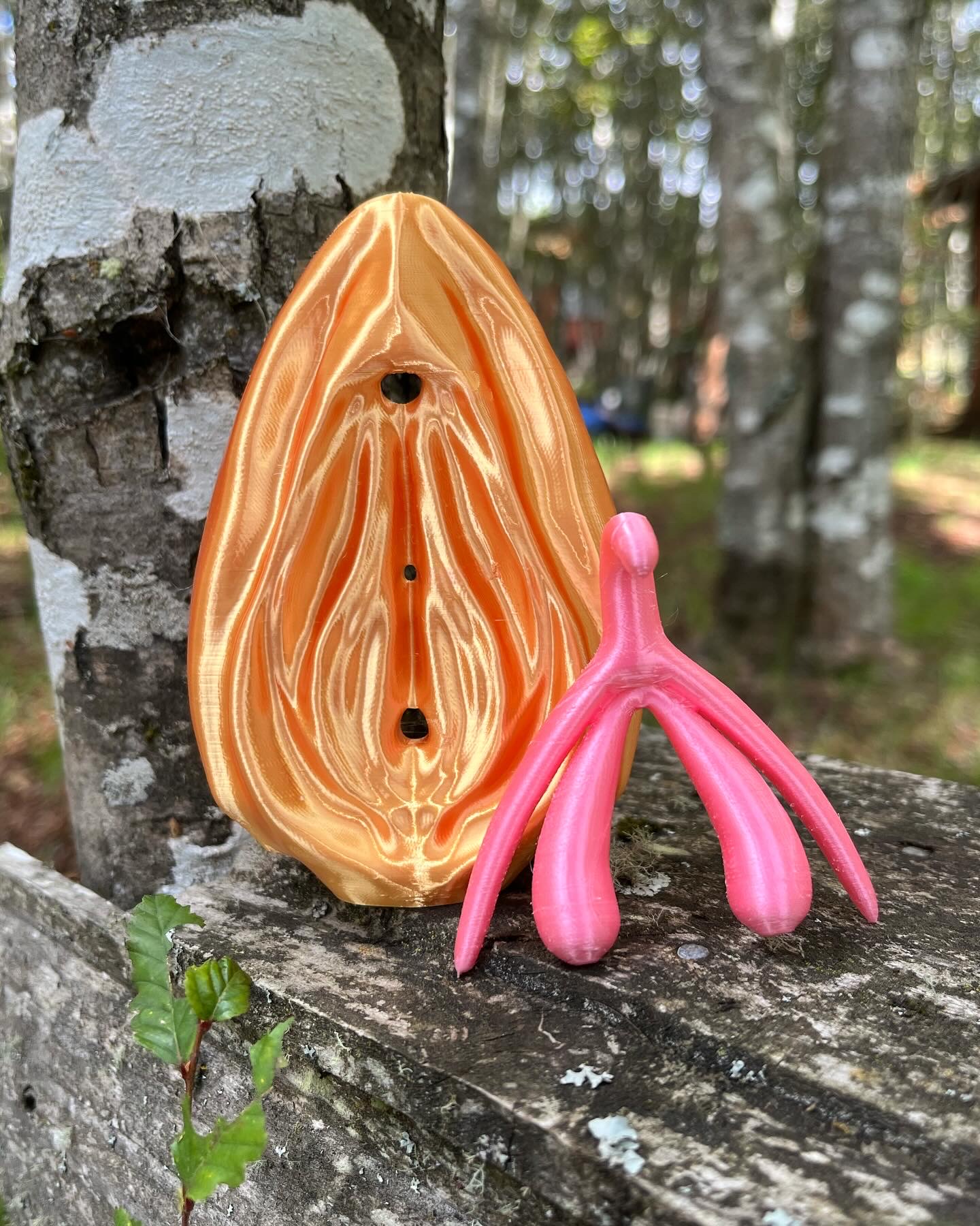 Vulvaclito